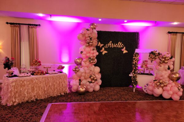 baptism party tampa bay area venue